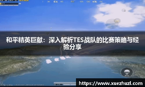 和平精英巨献：深入解析TES战队的比赛策略与经验分享