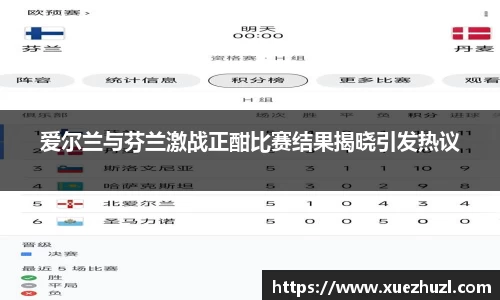 爱尔兰与芬兰激战正酣比赛结果揭晓引发热议
